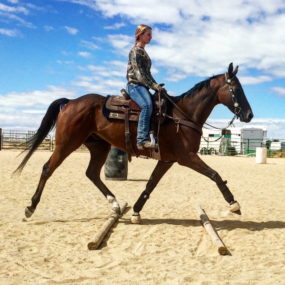 Ottbs For Sale In Mn informacionpublica.svet.gob.gt